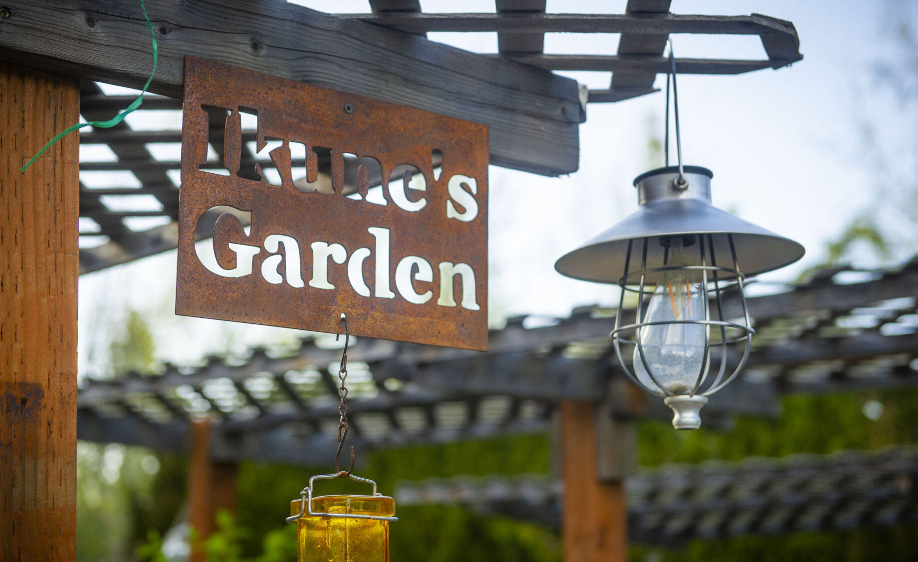 Pat Spencer's Bonsai Garden